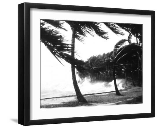 Photo, , large