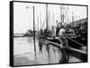 Hurricanes 1950-1957-null-Framed Stretched Canvas