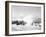 Hurricanes 1950-1957-Jim Kerlin-Framed Premium Photographic Print