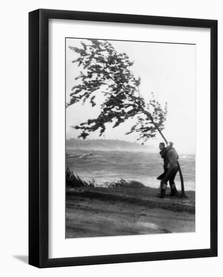 Hurricanes 1950-1957-null-Framed Photographic Print