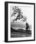 Hurricanes 1950-1957-null-Framed Photographic Print