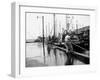 Hurricanes 1950-1957-null-Framed Photographic Print