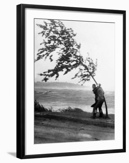 Hurricanes 1950-1957-null-Framed Photographic Print