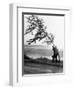 Hurricanes 1950-1957-null-Framed Photographic Print