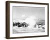 Hurricanes 1950-1957-Jim Kerlin-Framed Photographic Print