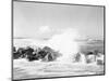 Hurricanes 1950-1957-Jim Kerlin-Mounted Photographic Print