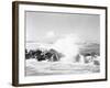 Hurricanes 1950-1957-Jim Kerlin-Framed Photographic Print