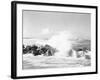 Hurricanes 1950-1957-Jim Kerlin-Framed Photographic Print