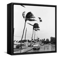 Hurricanes 1960-Harold Valentine-Framed Stretched Canvas