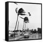 Hurricanes 1960-Harold Valentine-Framed Stretched Canvas