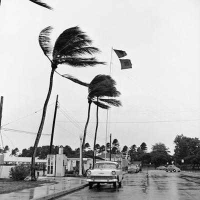 'Hurricanes 1960' Photographic Print - Harold Valentine | AllPosters.com