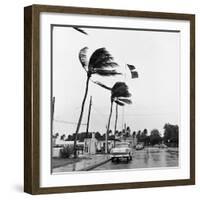 Hurricanes 1960-Harold Valentine-Framed Photographic Print