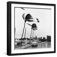 Hurricanes 1960-Harold Valentine-Framed Photographic Print