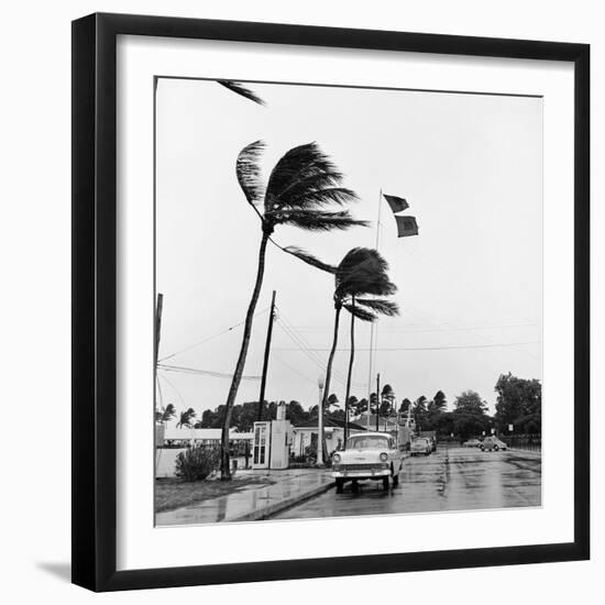 Hurricanes 1960-Harold Valentine-Framed Photographic Print