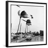 Hurricanes 1960-Harold Valentine-Framed Photographic Print