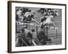 Hurtlers Competing at the Olympics-George Silk-Framed Photographic Print