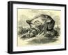 Hus's Monument Switzerland-null-Framed Giclee Print