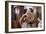 Husband and Wife Kissing Goodbye-William P. Gottlieb-Framed Photographic Print