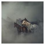 The Lost Horses-Huseyin Ta?k?n-Stretched Canvas