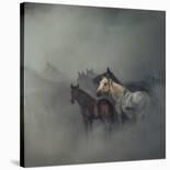 Tired Horses-Huseyin Ta?k?n-Stretched Canvas