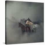 Tired Horses-Huseyin Ta?k?n-Giclee Print