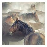 Tired Horses-Huseyin Ta?k?n-Giclee Print