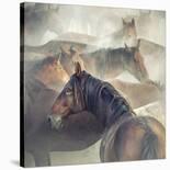 Migration Of Horses-Huseyin Ta?k?n-Framed Giclee Print