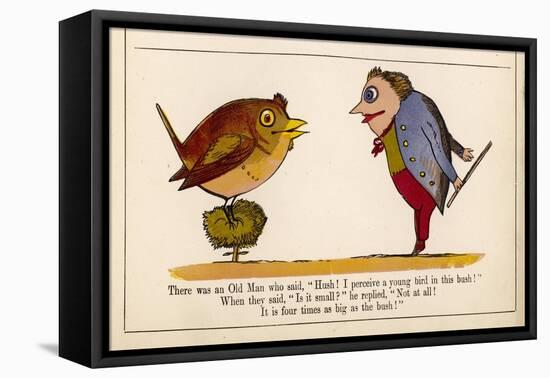 Hush! I Perceive a Young Bird in This Bush!-Edward Lear-Framed Stretched Canvas