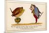 Hush! I Perceive a Young Bird in This Bush!-Edward Lear-Mounted Premium Giclee Print