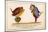 Hush! I Perceive a Young Bird in This Bush!-Edward Lear-Mounted Art Print
