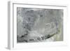 Hushed III-Sharon Gordon-Framed Art Print