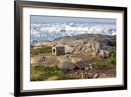 Huskies Near their Kennel, Ilulissat, Greenland-Françoise Gaujour-Framed Photographic Print