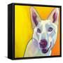 Husky - Charlie-Dawgart-Framed Stretched Canvas