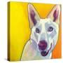 Husky - Charlie-Dawgart-Stretched Canvas