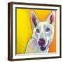 Husky - Charlie-Dawgart-Framed Giclee Print