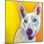 Husky - Charlie-Dawgart-Mounted Giclee Print