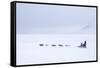 Husky Dog Sled at Dusk, Longyearbyen, Spitsbergen, Svalbard, Arctic Circle, Norway, Scandinavia-Stephen Studd-Framed Stretched Canvas