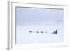 Husky Dog Sled at Dusk, Longyearbyen, Spitsbergen, Svalbard, Arctic Circle, Norway, Scandinavia-Stephen Studd-Framed Photographic Print