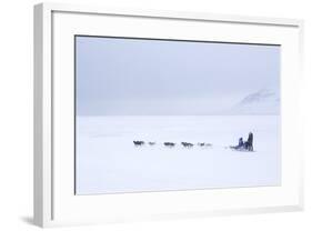 Husky Dog Sled at Dusk, Longyearbyen, Spitsbergen, Svalbard, Arctic Circle, Norway, Scandinavia-Stephen Studd-Framed Photographic Print