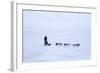 Husky Dog Sled in Adventdalen Valley-Stephen Studd-Framed Photographic Print