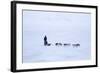 Husky Dog Sled in Adventdalen Valley-Stephen Studd-Framed Photographic Print