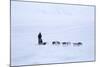 Husky Dog Sled in Adventdalen Valley-Stephen Studd-Mounted Photographic Print