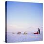 Husky Dog Sled Team, Spitsbergen, Norway, Europe-David Lomax-Stretched Canvas