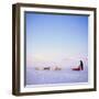 Husky Dog Sled Team, Spitsbergen, Norway, Europe-David Lomax-Framed Photographic Print