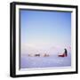 Husky Dog Sled Team, Spitsbergen, Norway, Europe-David Lomax-Framed Photographic Print