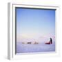 Husky Dog Sled Team, Spitsbergen, Norway, Europe-David Lomax-Framed Photographic Print