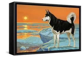 Husky Dog-Angus Mcbride-Framed Stretched Canvas