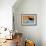 Husky Dog-Angus Mcbride-Framed Giclee Print displayed on a wall
