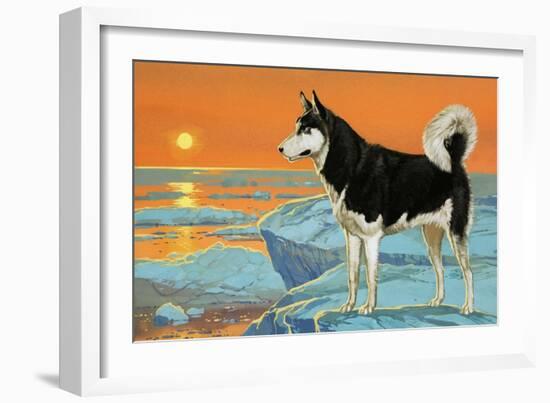 Husky Dog-Angus Mcbride-Framed Giclee Print