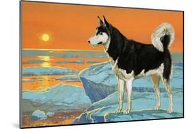 Husky Dog-Angus Mcbride-Mounted Giclee Print